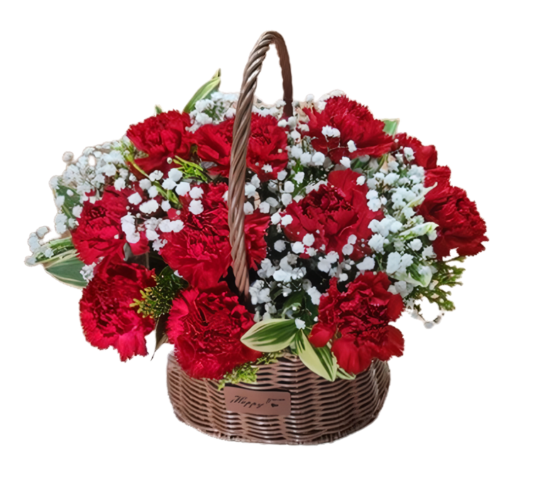 기본 카네이션 바구니