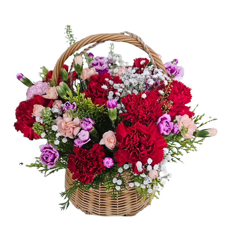 혼합 카네이션 바구니
