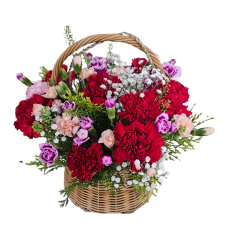혼합 카네이션 바구니
