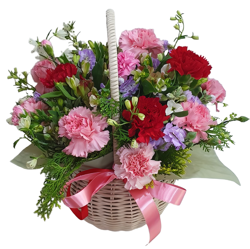 혼합 카네이션 바구니-2